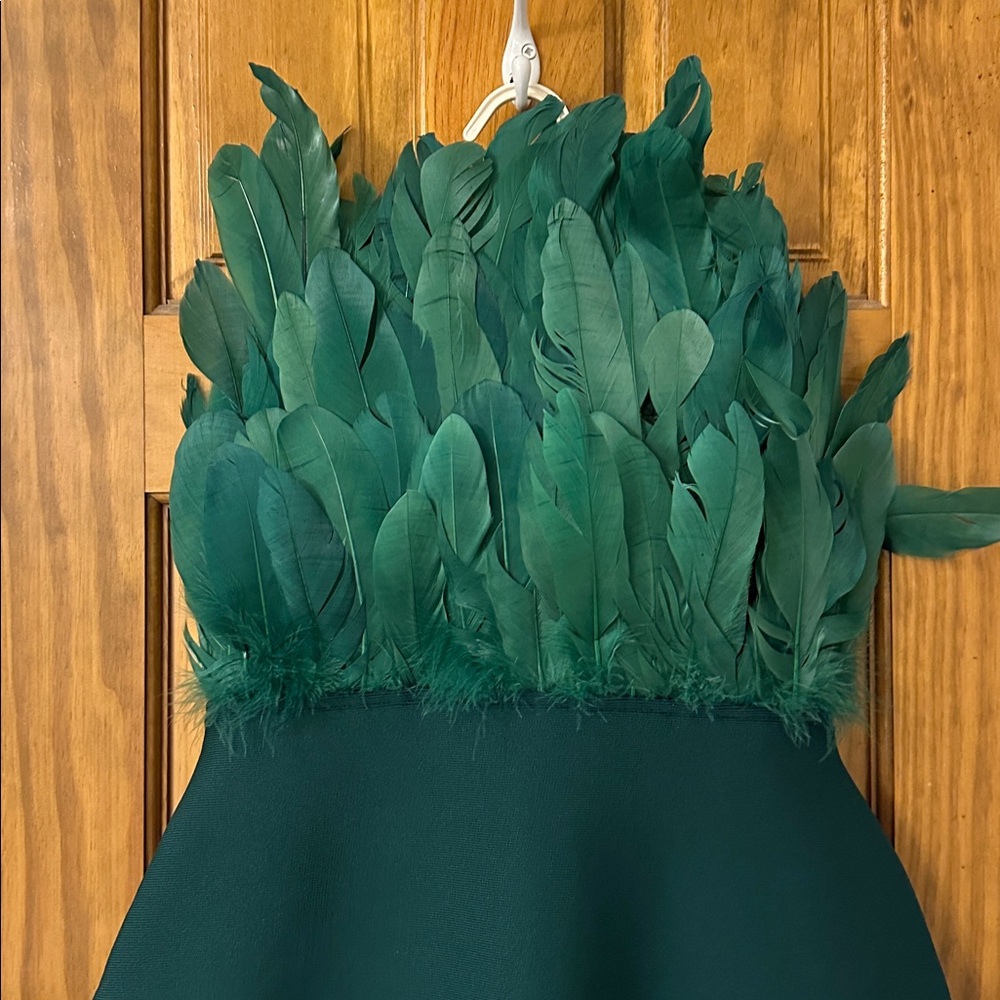 NEW! Feather Bandage Dress - Picture 3 of 5